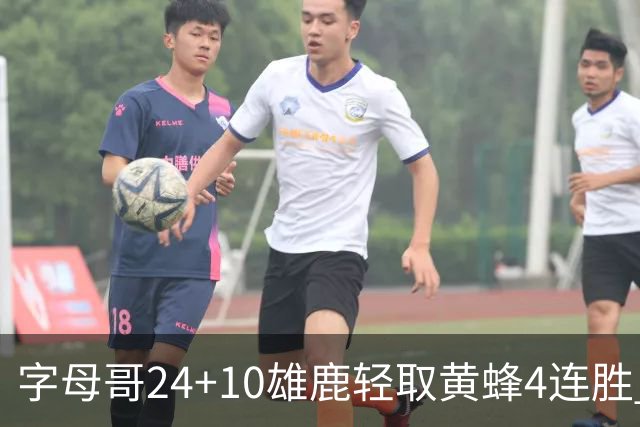 字母哥24+10雄鹿轻取黄蜂4连胜 魔术力克爵士